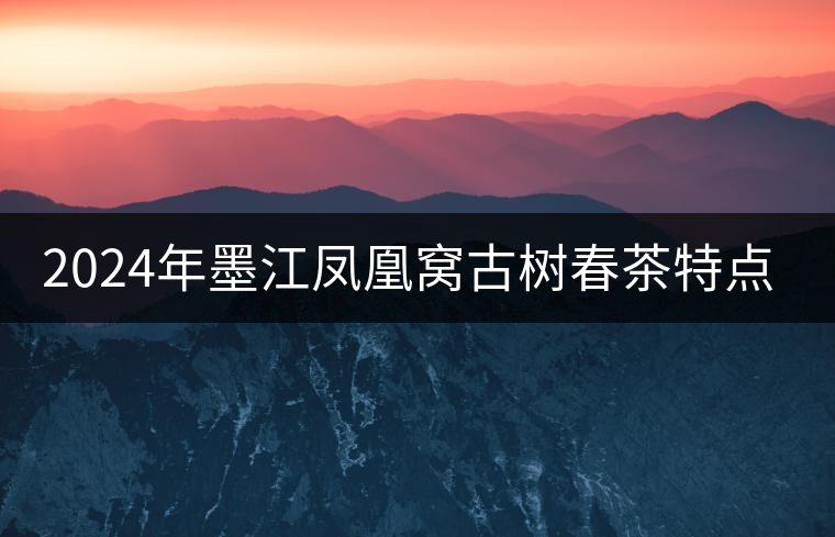 2024年墨江鳳凰窩古樹春茶特點是什么？