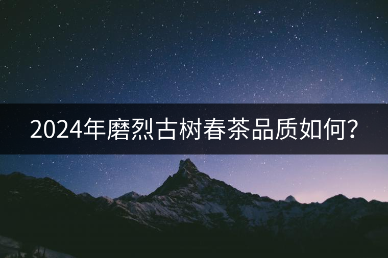 2024年磨烈古樹春茶品質如何？