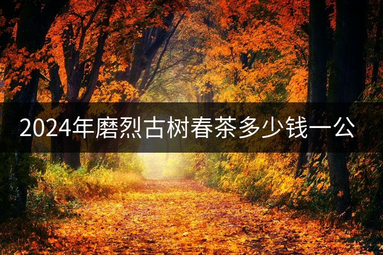 2024年磨烈古樹春茶多少錢一公斤？