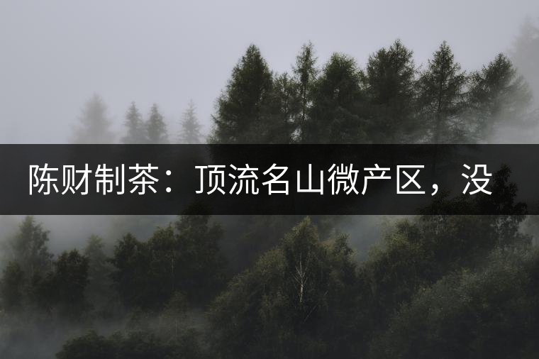 陳財(cái)制茶：頂流名山微產(chǎn)區(qū)，沒有意義的意義
