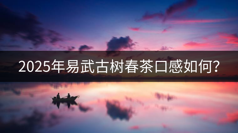 2025年易武古樹春茶口感如何？