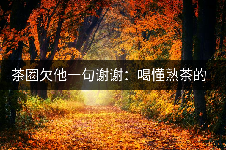 茶圈欠他一句謝謝：喝懂熟茶的人，都該記住陳佩仁這個名字