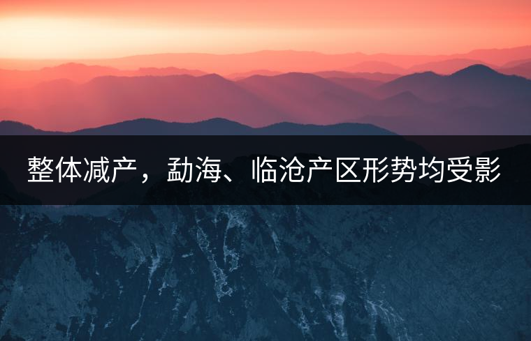 整體減產(chǎn)，勐海、臨滄產(chǎn)區(qū)形勢(shì)均受影響