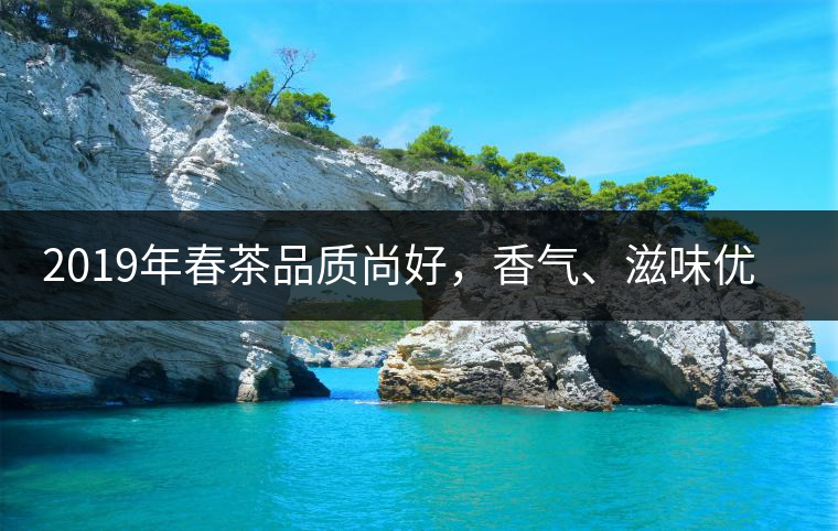 2019年春茶品質(zhì)尚好，香氣、滋味優(yōu)于去年