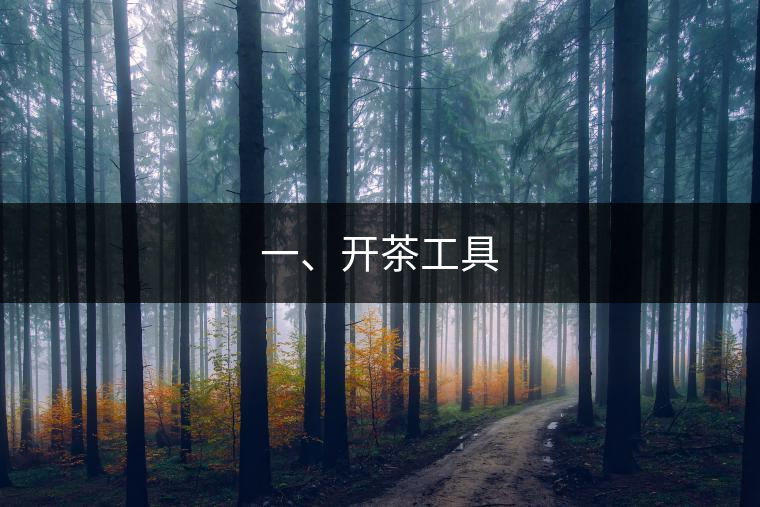 一、開(kāi)茶工具
