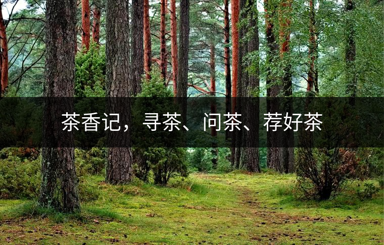 茶香記，尋茶、問(wèn)茶、薦好茶