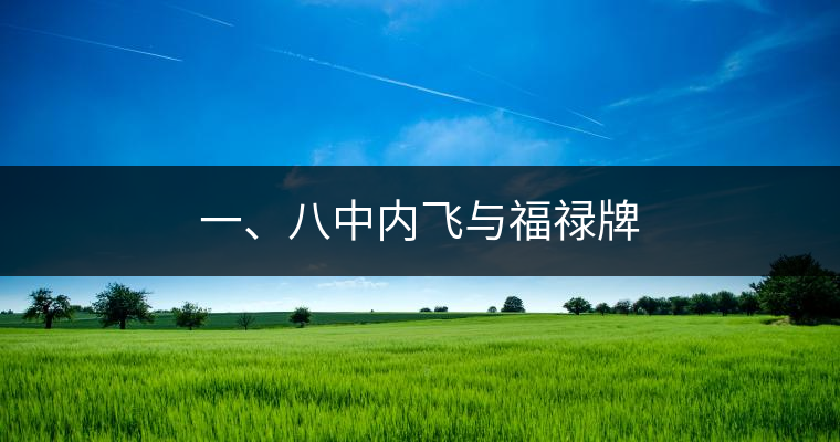 一、八中內(nèi)飛與福祿牌
