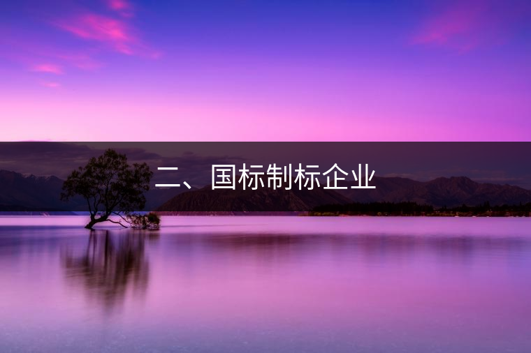 二、國標(biāo)制標(biāo)企業(yè)