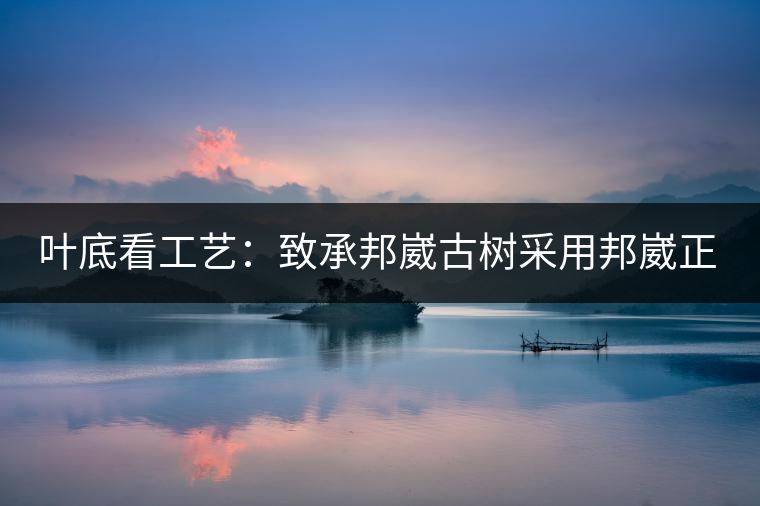 葉底看工藝：致承邦崴古樹采用邦崴正山三百至五百年古茶樹頭春鮮葉。經(jīng)手工殺青，石墨壓制，餅型周正，嚴(yán)守傳統(tǒng)工藝；葉底鮮活，幾乎無糊點，前期殺青較輕，這樣更利于后期轉(zhuǎn)化。