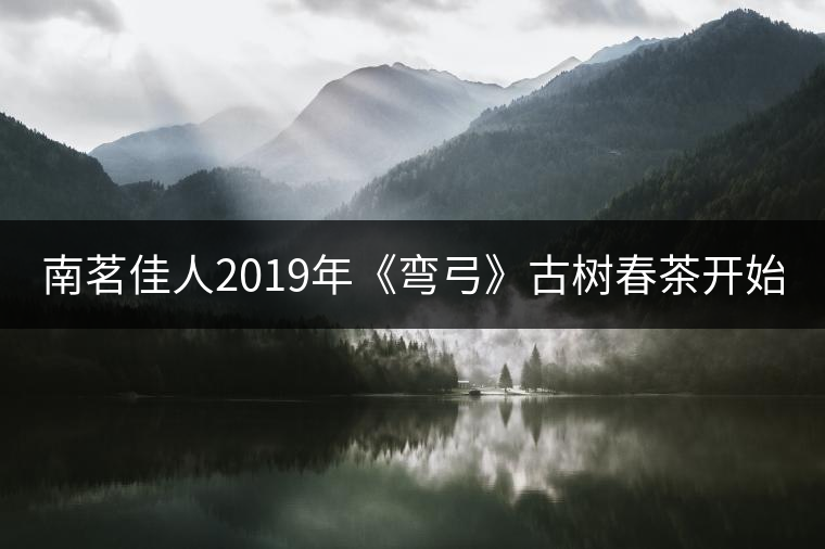 南茗佳人2019年《彎弓》古樹(shù)春茶開(kāi)始預(yù)售啦！