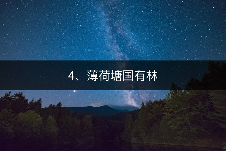 4、薄荷塘國有林