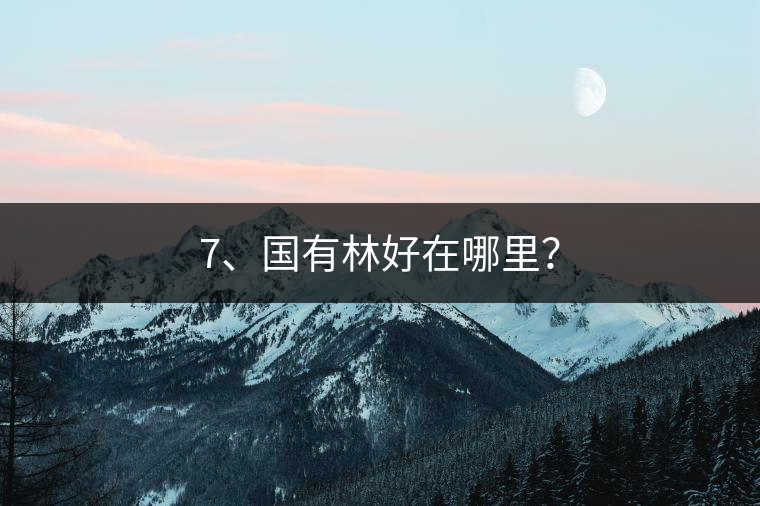 7、國有林好在哪里？