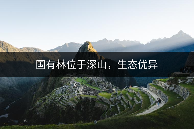 國有林位于深山，生態(tài)優(yōu)異