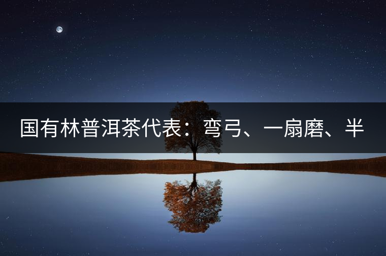 國有林普洱茶代表：彎弓、一扇磨、半坡老寨