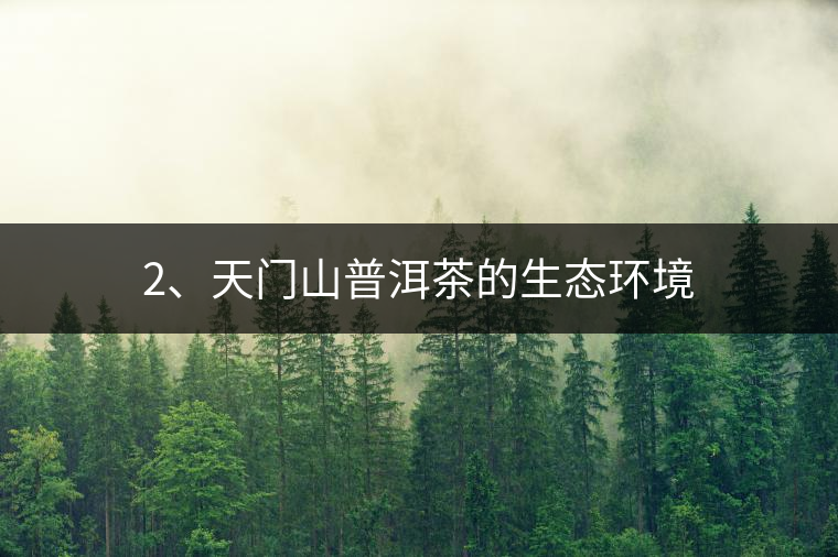 2、天門山普洱茶的生態(tài)環(huán)境