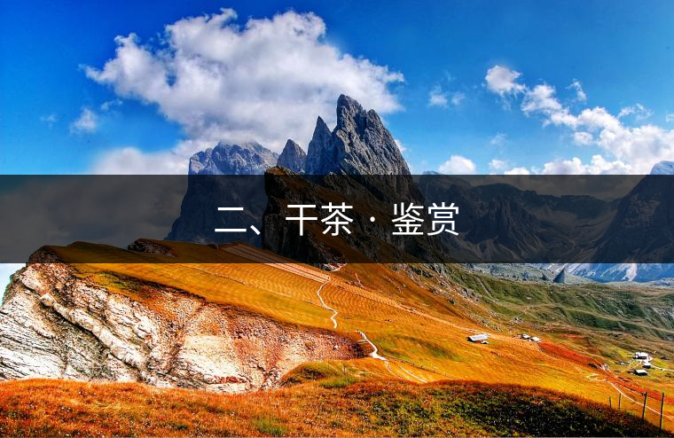 二、干茶 · 鑒賞