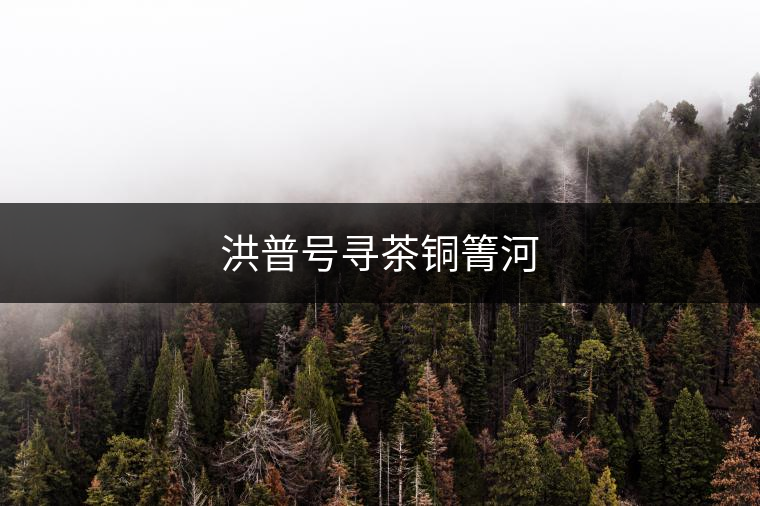 洪普號尋茶銅箐河