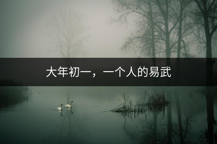 大年初一，一個人的易武