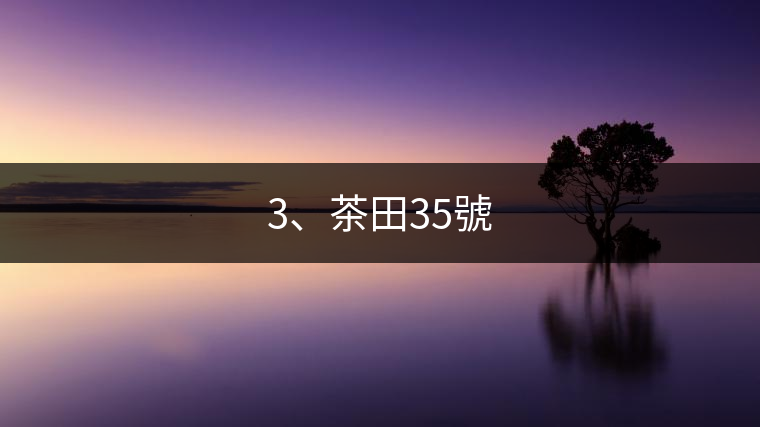 3、茶田35號(hào)