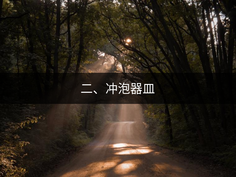 二、沖泡器皿