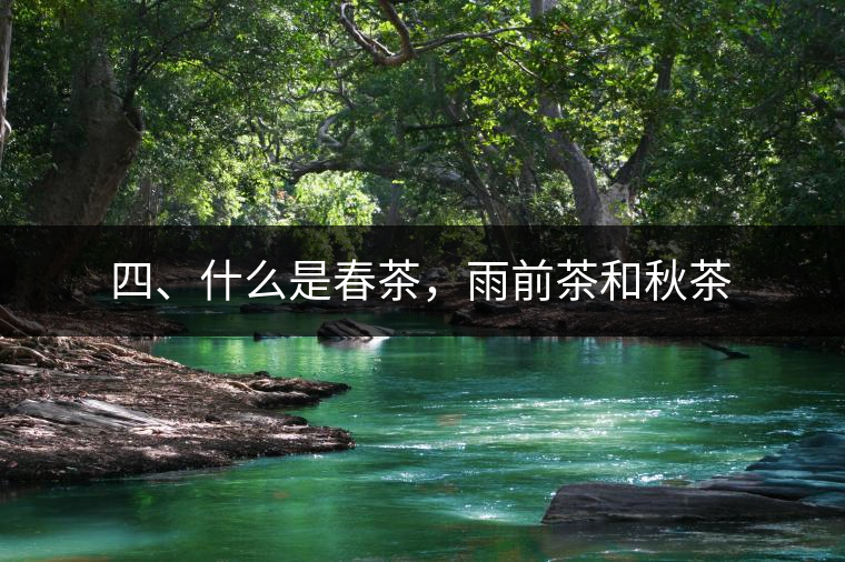 四、什么是春茶，雨前茶和秋茶