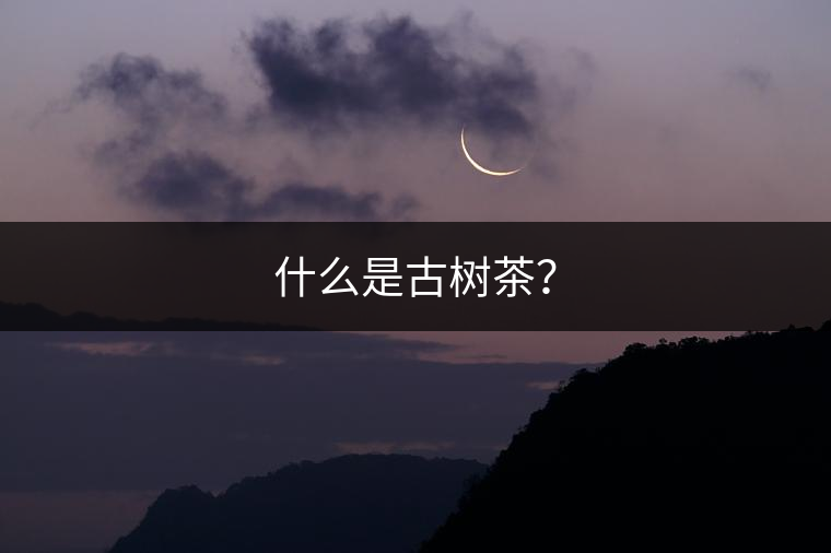 什么是古樹(shù)茶？