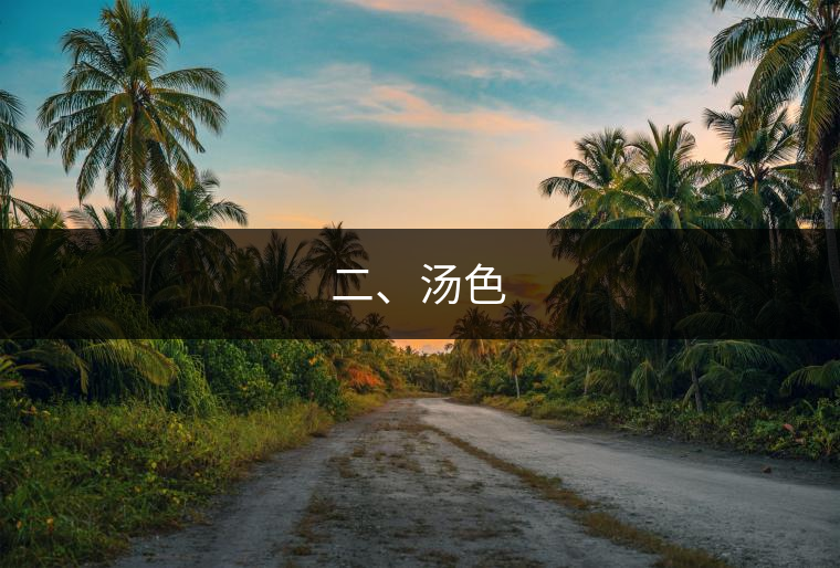 二、湯色