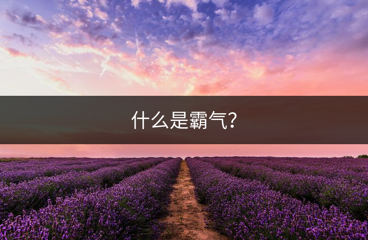 什么是霸氣？