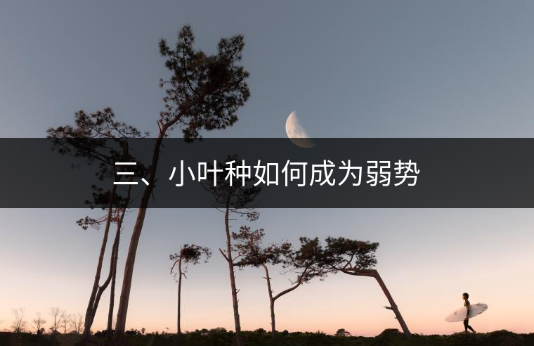三、小葉種如何成為弱勢