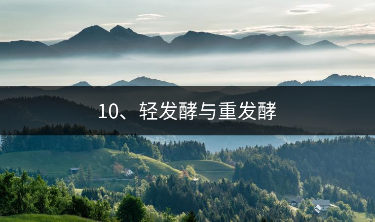10、輕發(fā)酵與重發(fā)酵