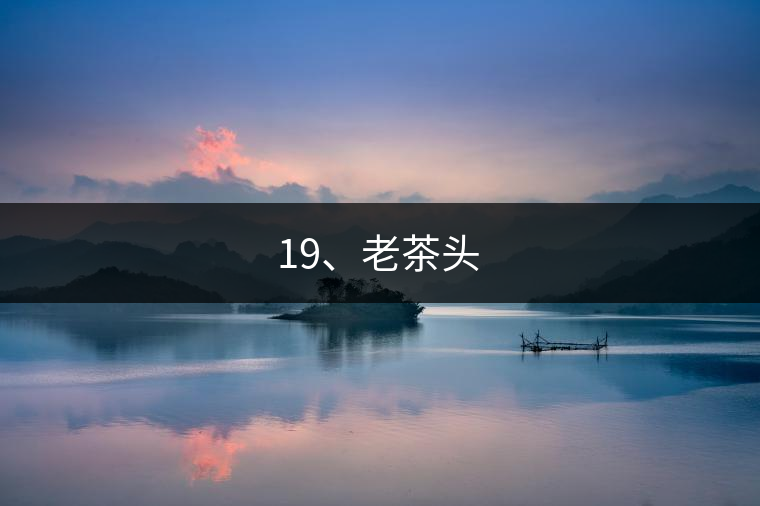 19、老茶頭