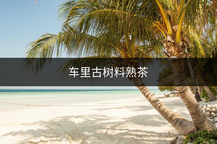 車(chē)?yán)锕艠?shù)料熟茶