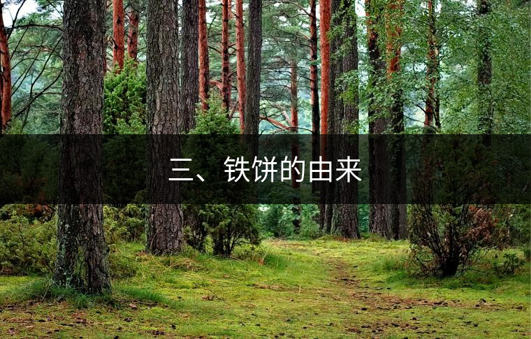 三、鐵餅的由來