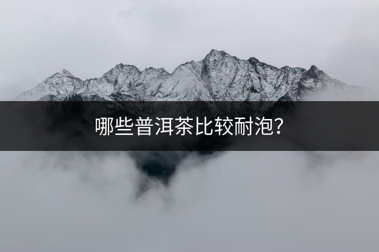 哪些普洱茶比較耐泡？