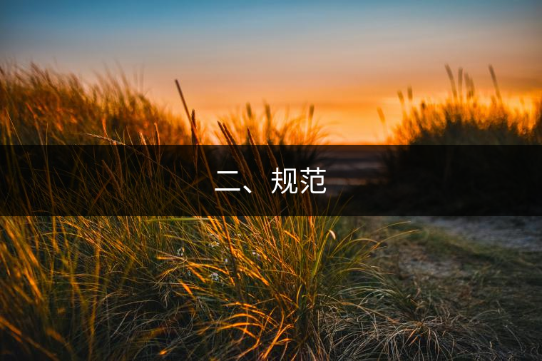 二、規(guī)范