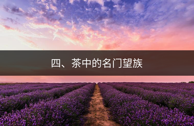 四、茶中的名門望族