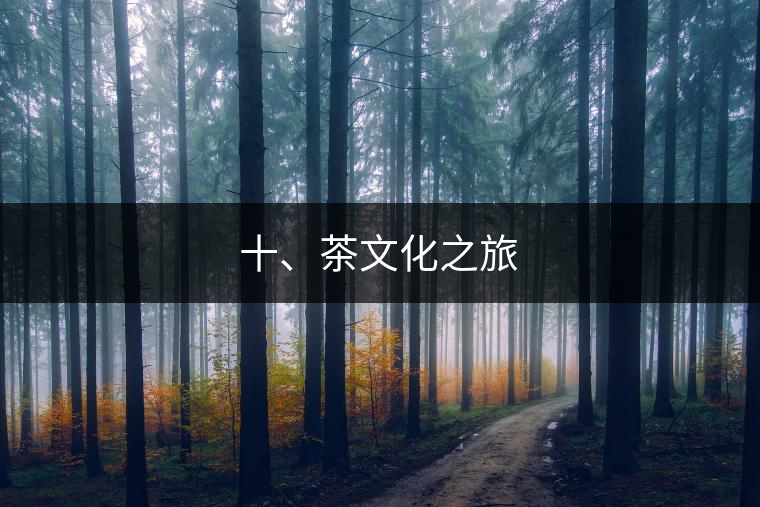 十、茶文化之旅