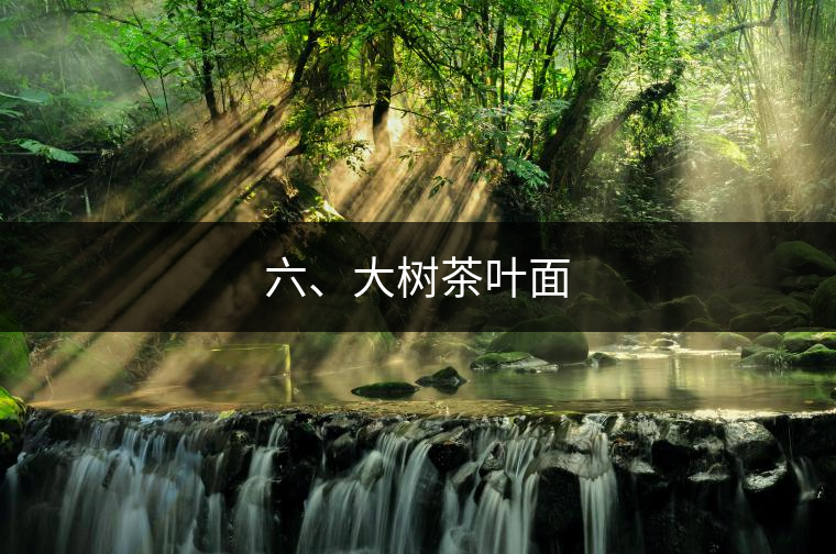 六、大樹(shù)茶葉面