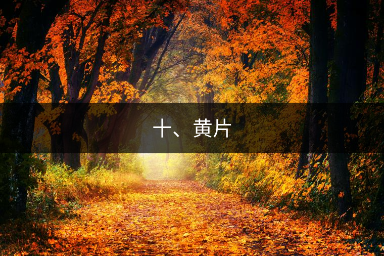 十、黃片