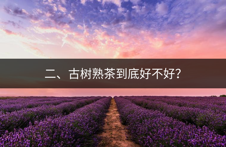 二、古樹熟茶到底好不好？