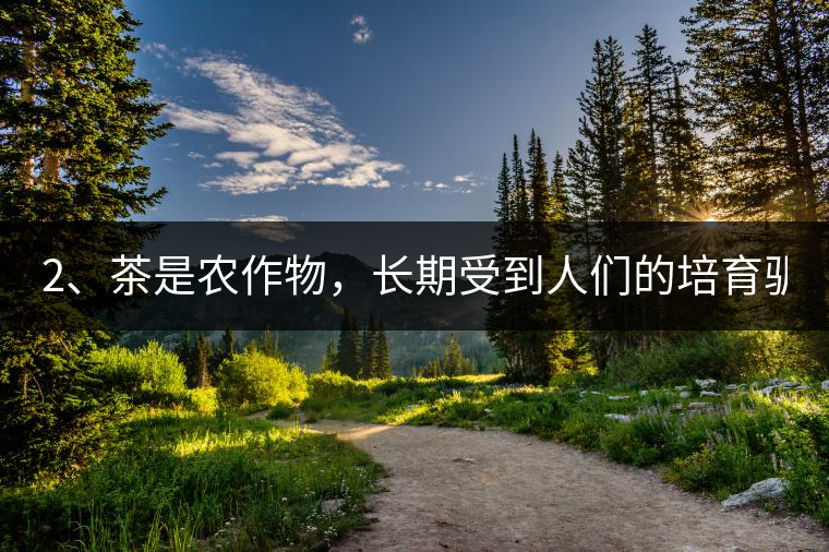 2、茶是農(nóng)作物，長期受到人們的培育馴化。