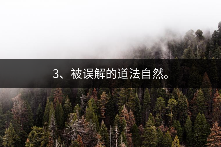 3、被誤解的道法自然。