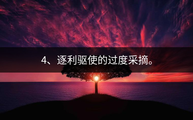 4、逐利驅(qū)使的過度采摘。