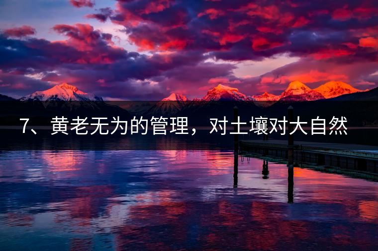 7、黃老無為的管理，對土壤對大自然的過渡依賴，對茶樹根疏忽。