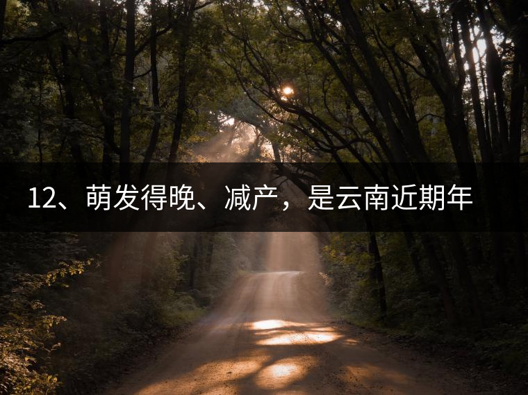 12、萌發(fā)得晚、減產(chǎn)，是云南近期年氣候變化在茶樹上的延遲反映。