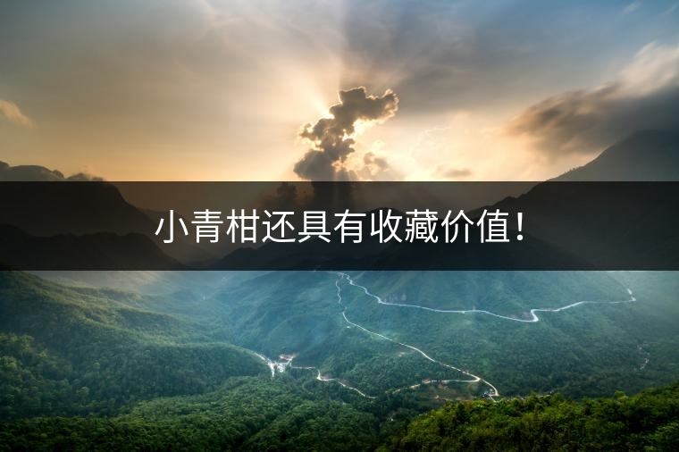 小青柑還具有收藏價(jià)值！