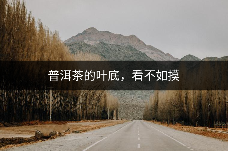 普洱茶的葉底，看不如摸