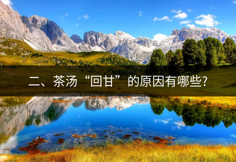 二、茶湯“回甘”的原因有哪些?