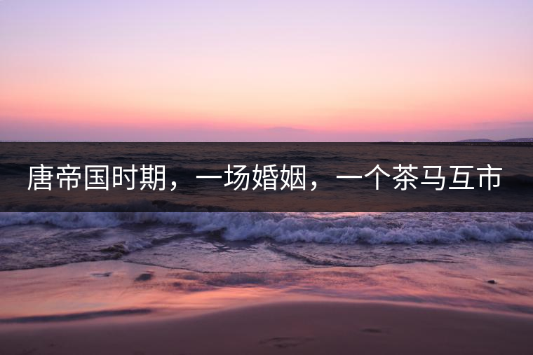 唐帝國時(shí)期，一場婚姻，一個(gè)茶馬互市，讓這里結(jié)束了漢藏對峙。宋代南茶北，西北茶馬司設(shè)立，因茶而改變的生活日益凸顯。元代八思巴與忽必烈在這一區(qū)域結(jié)盟，為蒙藏兩大民族交往鋪好通衢大道，明代俺答汗與達(dá)賴在山海之間追思各自先人，青海人宗喀巴創(chuàng)建的黃教通過蒙、藏兩大領(lǐng)袖的推廣，締造了影響至今的格局。大清經(jīng)過康、雍、乾三代勵(lì)精圖治，滿、藏、蒙各自龐大的疆域第一次完整地統(tǒng)轄在中央帝國的版圖下。