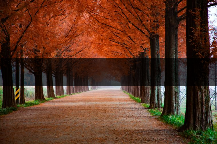 這樣的茶葉邊疆文化，也許是明代大學(xué)者解縉最樂意見到的。他曾說，中原最好的東西就是茶，而番人最好的就是馬。他贊同明廷茶馬互市的國策：茶之于夷人，如同中國之酒醴，因?yàn)椴桉R貿(mào)易，許多夷人也開始學(xué)習(xí)中國的知識(shí)，對中國也有了向慕之心，那么茶的作用就很顯然，茶有著“夷夏之交，義利之辨，寅賓尚忠信而篤敬，河州固唐虞三代之邦也?！?茶不僅僅是一種飲品，還有其他。茶作為媒介，體現(xiàn)了觀念的變化。如今，隨著茶的傳播，各族人民有了更深入往來，通過貿(mào)易、文化、旅游等等。
陳渠珍從西藏抵達(dá)湟源區(qū)域時(shí)，也為這里的古風(fēng)所震驚：“余皆漢番雜處。風(fēng)俗婦女尚餞足，裙下蓮步不及三寸，服飾既古，文化尤卑，鄰居為私塾，當(dāng)見一生久讀不能成誦，塾師罰之跪，以草圈罩頭上，頻加籌石，令其跪誦。余見駭然?！?
?
（摘自《海峽茶道》，2013年5期）